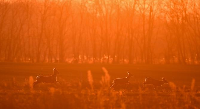 A tájat és a felhőket is megszínezte a lenyugvó nap fénye