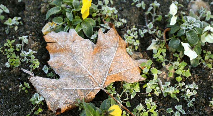 Hideg reggel, nyugodt nappal – így alakul a holnapi időjárás