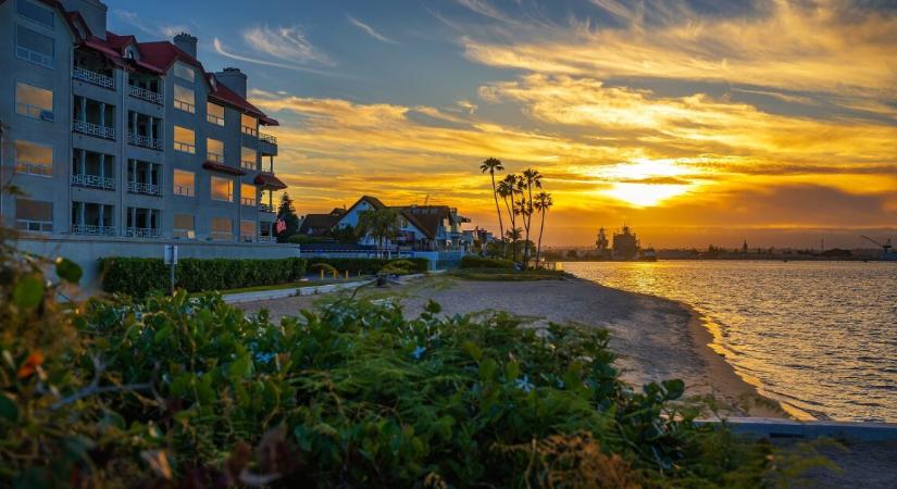 Elhunyt egy 61 éves nagypapa karácsonykor – rázuhant egy faaág, nem élte túl