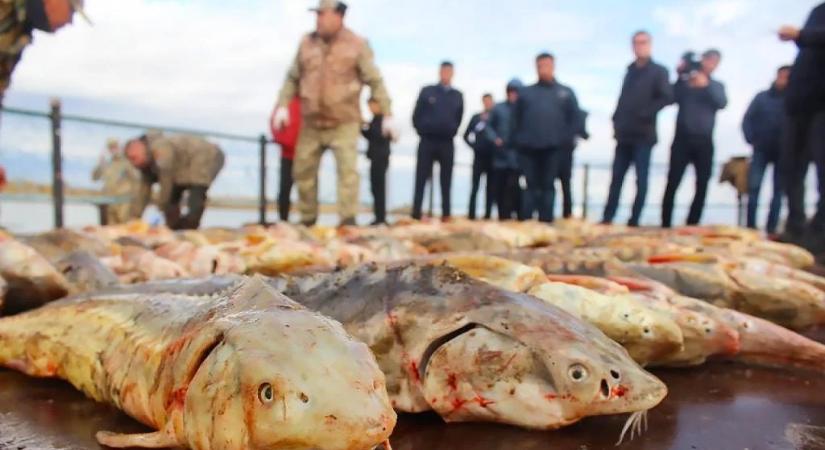 Van, ahova a szankciók sem érnek el