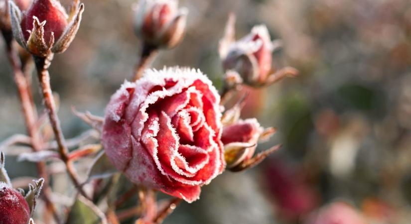 Fagyos éjszaka után változékonyság: ez várható szombaton