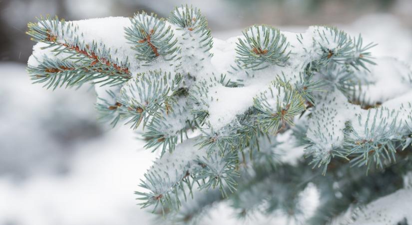 Időjárás 2025. december 27.: Ma napos reggel, záporos, szeles délután vár ránk