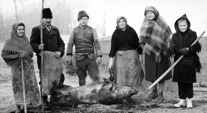 Hurka, kolbász, böllér – Mennyire ismeri a disznóvágás hagyományait?