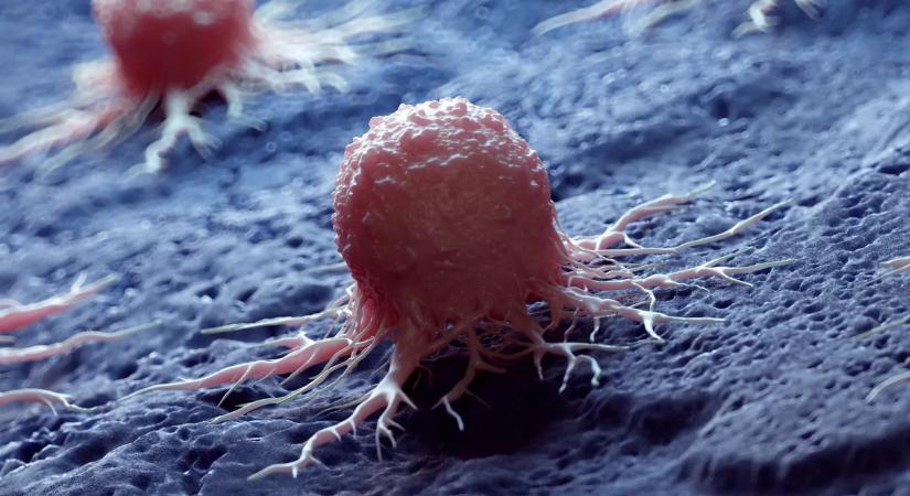 Forradalmi felfedezés: megállítható lesz az öregedés?