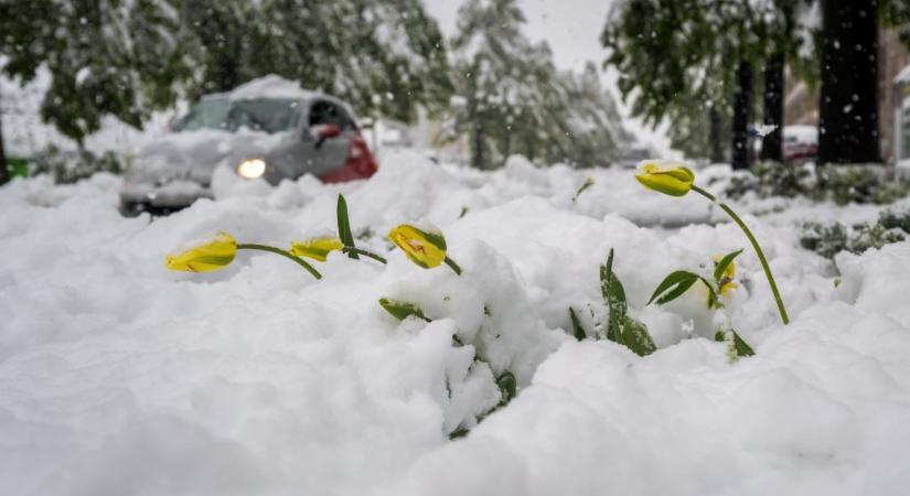 Lavina végzett négy emberrel karácsony napján Görögországban