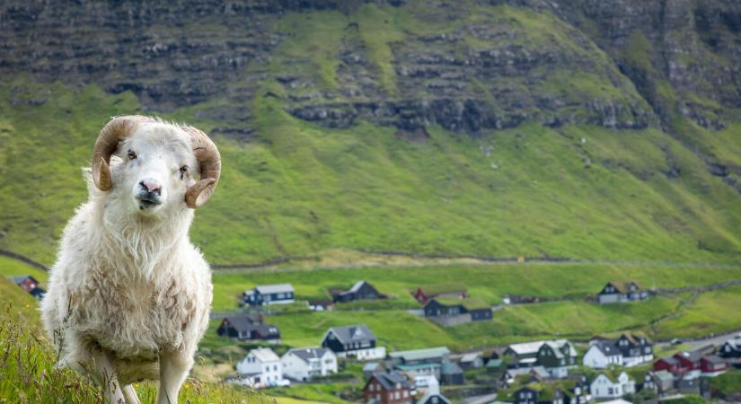 Ír kocsmák, feröeri birkák és perui keselyűk – Világjáró top 10 2025