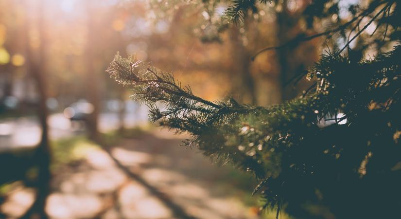 Napos szombat után hidegfront érkezik