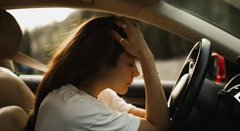 A buta liba és a kétbalkezes férfiak