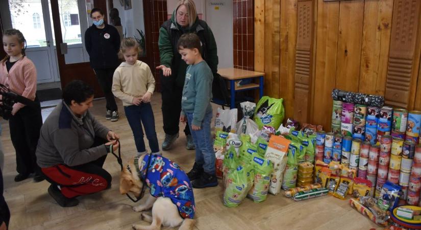 Több száz kutya ellátását segíti az adománygyűjtés Karcagon – galériával