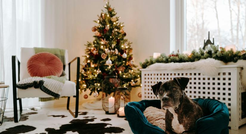 Napi üzenet szombat – 2025. 12. 27.