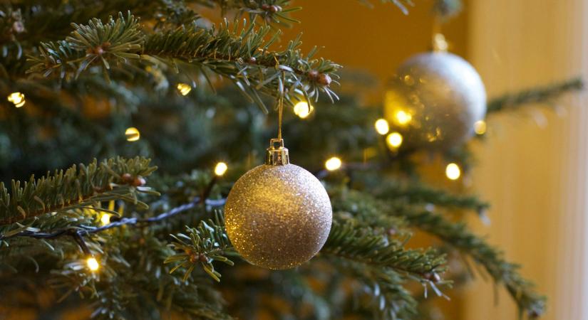 Hat tuti tipp a fenyőfagyanta eltávolítására