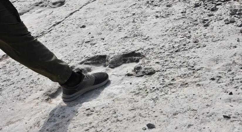 Tudományos felfedezések 2025-ben, amikre még évtizedekig emlékezni fogunk