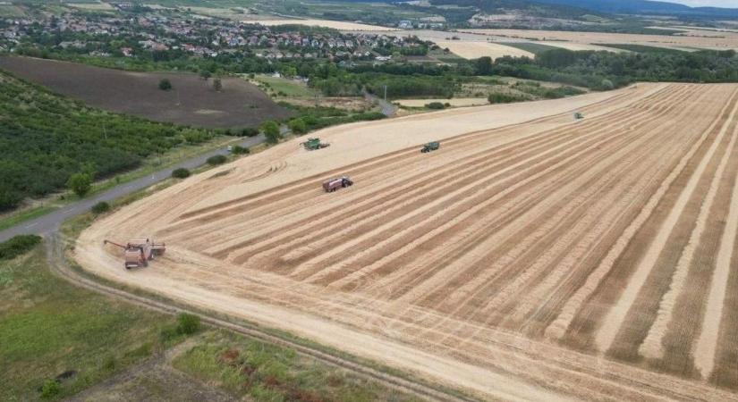 Új korszak indul Gyöngyöspatán a mezőgazdaságban, amely a város jövőjét is érinti