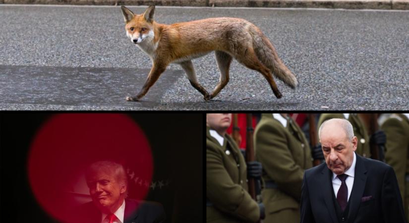 24/7: Őrizze a karácsonyi vásárodat egy TEK-es csapatszállító!