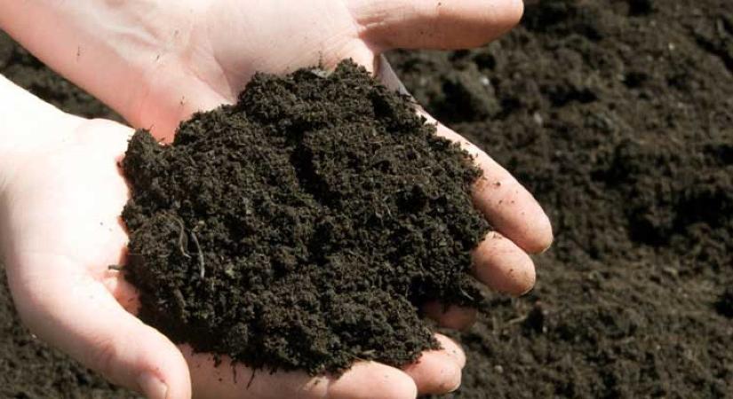 Ez aztán a karácsonyi meglepetés: kinyitja a kormány a földpiacot a pénzügyi befektetők előtt