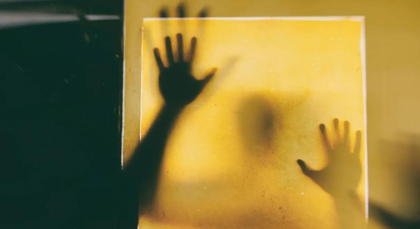 Halálra késeltek egy férfit karácsonykor a gemenci erdőben