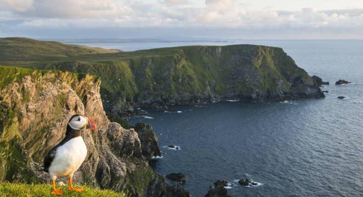 Madárfiókákat hajigálnak le ezekről a sziklákról: a természetvédők is örülnek neki