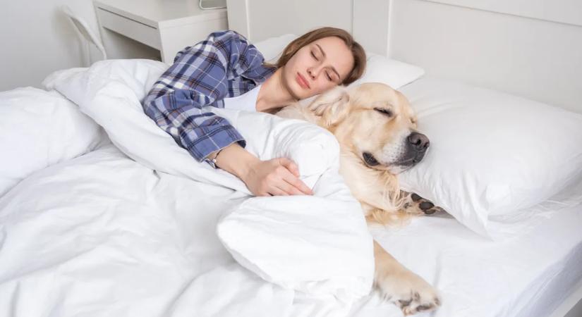 Te jól csinálod? Ilyen gyakran kellene ágyneműt cserélni: ne halogasd, mert baj lehet belőle