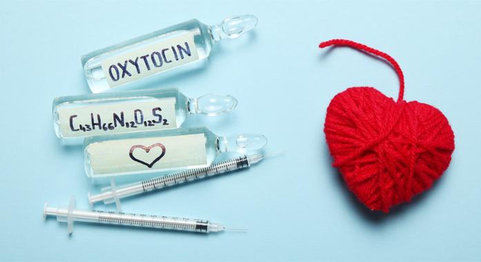 Oxitocin - Miért fontos a szervezet számára?