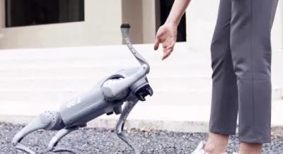 Pacsit is ad a MediaMarkt robotkutyája