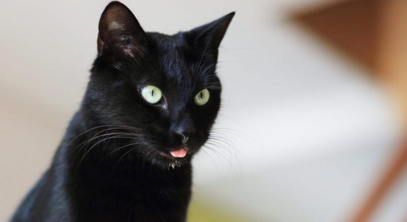 A nyáladzás komoly bajt jelezhet: ezek az aggasztó tünetek