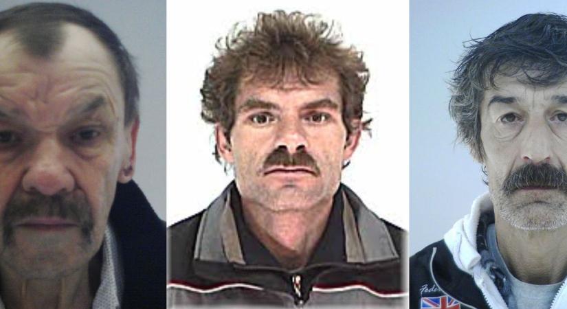 Több közös is van bennük: bűnöztek és a bajszuk is tekintélyt parancsoló