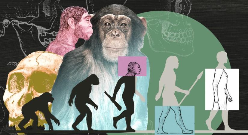 Kik voltak a rejtélyes csillagemberek és a hobbitok?