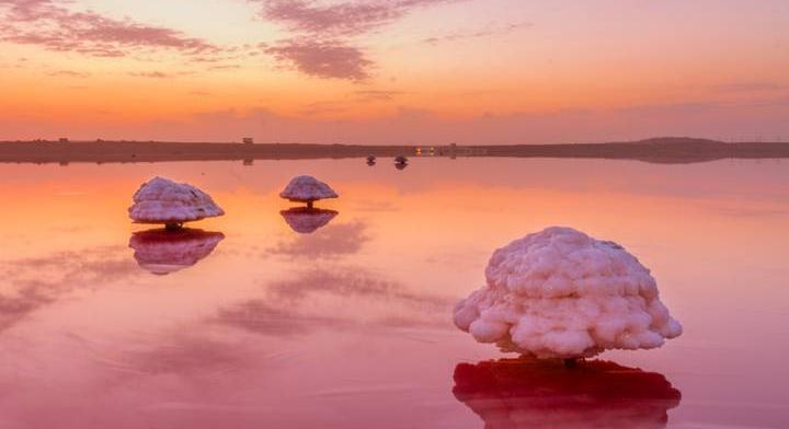 Rózsaszín tóban állnak ezek a vattacukorfák: rosszul járnál, ha megkóstolnád őket