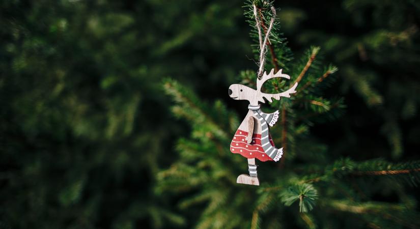 Hova teheti a karácsonyfát, ha már nincs szüksége rá?