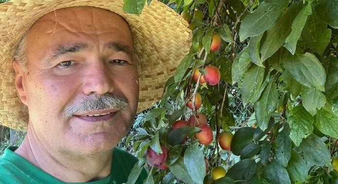 Megengedi a kormány, hogy sétáljunk az erdőkben