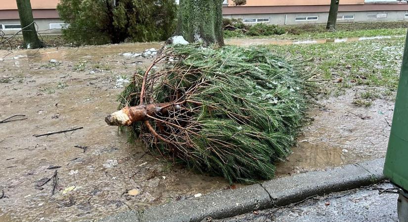 A kidobott karácsonyfának a kuka mellett a helye, a csomagolópapír pedig nem tüzelő!