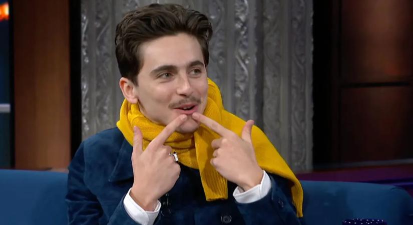 Kiderült Timothée Chalamet rejtett titka: a gonoszság vezette a színészet felé