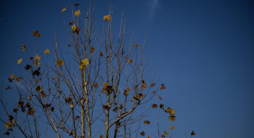 Animáción mutatjuk, hogy érkezik a viharos szél