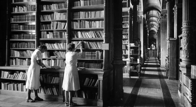 Retró szavak kvíz: emlékszel még a szocializmus kifejezéseire?