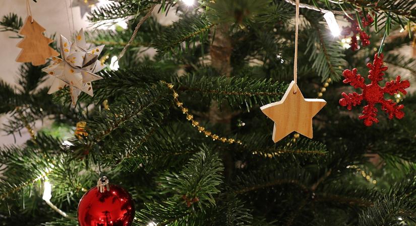 Így távolíthatja el legkönnyebben a fenyőgyantát