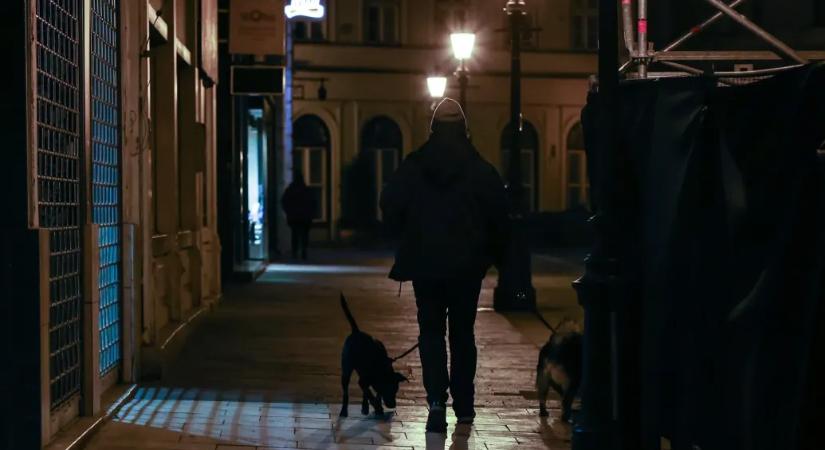 Így óvhatjuk meg a kutyát-macskát a szilveszteri durrogtatástól