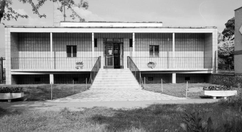 A Népkert fái alatt született meg Csongrád egyik legfontosabb helye