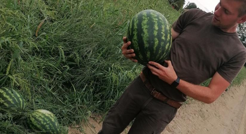 Öt kiló fűszerpaprikával kezdődött minden – somogyi sikertörténet