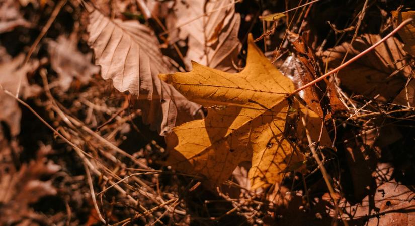 Időjárás: na, pont ezt nem szerettük volna... VIDEÓ