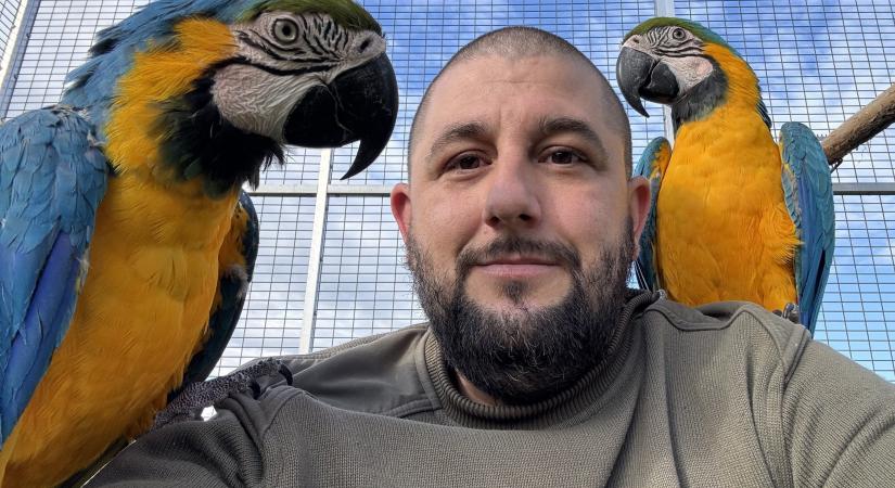 Egy férfi, aki a trópusokat költöztette otthonába – Péter és a harminc boa története