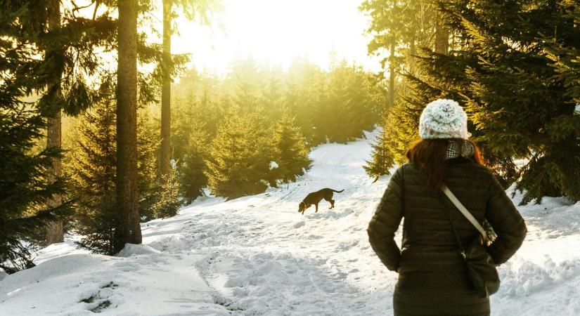 Mire figyeljünk kutyatartóként, amikor tartósan fagyosra fordul az idő?