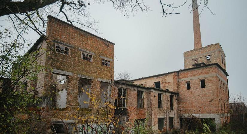 Hihetetlen, mi lett az ország egyik legfontosabb kendergyárából