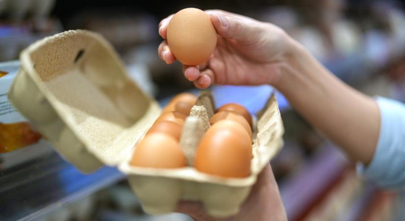 Itt a nagy tojás-titok: így kell helyesen tárolni a tojást, és eddig fogyasztható biztonságosan