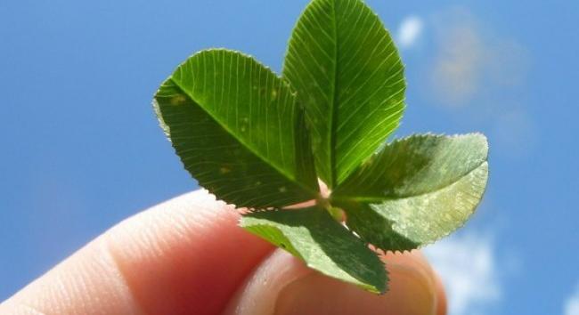 Itt vannak az 52. heti Luxor nyerőszámok és a nyeremények - 2025. december 27.