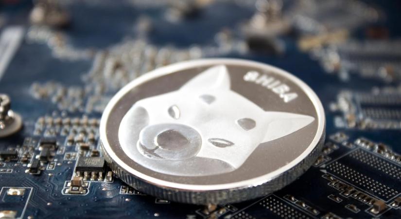A következő nagy altcoin a Shiba Inu és a Cardano után? Az elemzők a Digitapra fogadnak