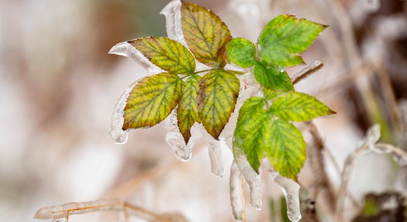 Megérkezik végre a havazás - itt számíthatunk fehér karácsonyra!