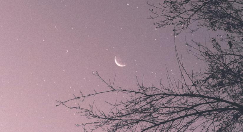 Napi horoszkóp, 2025.12.28.: Az Oroszlán egy korábbi döntése most kifizetődik