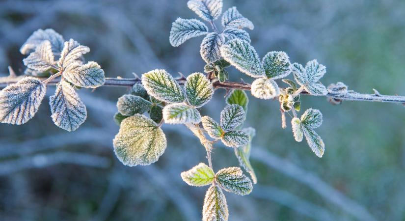Napos idő vagy borongós vasárnap? Mutatjuk a részleteket!