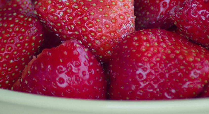 Brutális hozam, kemény bogyók, kevesebb növényvédelem – a Kara szamóca komolyan felkavarta a piacot