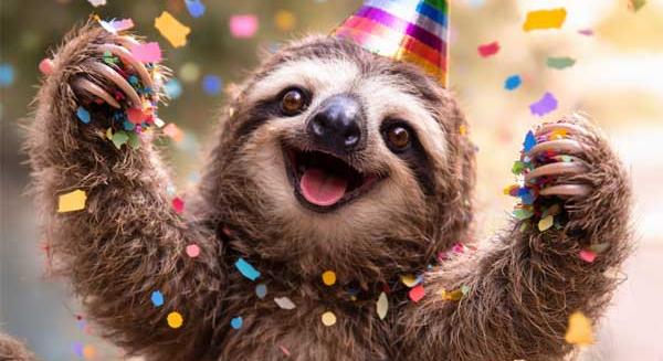 Heti Animorfózis – karácsonyi animációk, ünnepi tartalmak és az év AI-tanulságai